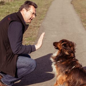 Profilbild von Achim Voß