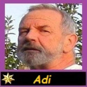 Profilbild von Adalbert Schulz
