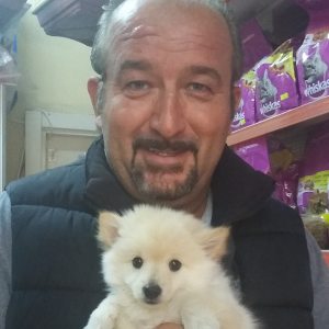 Profilbild von Ahmet Kücükoglu