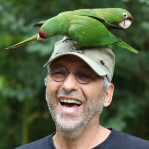 Profilbild von Alain Corre