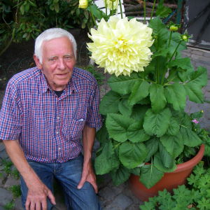 Profilbild von Albert Grube