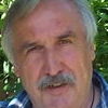 Profilbild von Albert Rachor