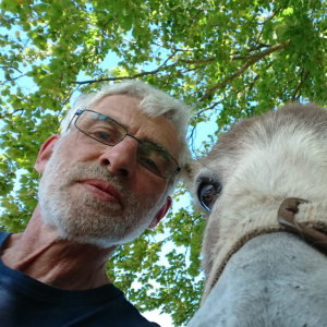 Profilbild von Alexander Baier