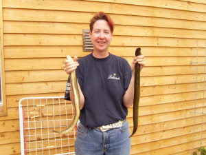 Profilbild von Alexandra Harte