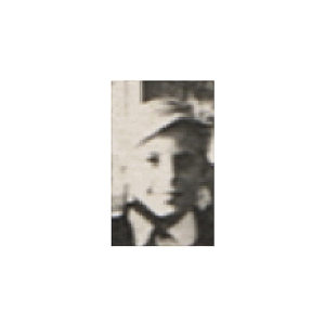 Profilbild von Alfons Stinner