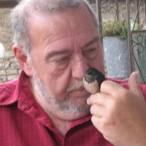 Profilbild von Alfred Petsch