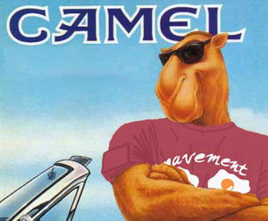 Profilbild von Amri Zai Salah