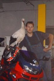 Profilbild von André Dehmel