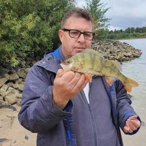 Profilbild von Andre Engelmann
