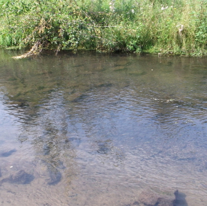 Profilbild von André Fischer