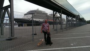 Profilbild von Andre Kühn