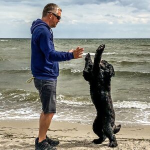 Profilbild von André Wittmann