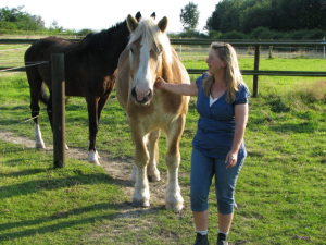 Profilbild von Andrea Hürst