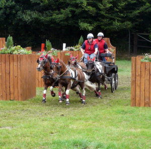 Profilbild von Andrea Jungblut