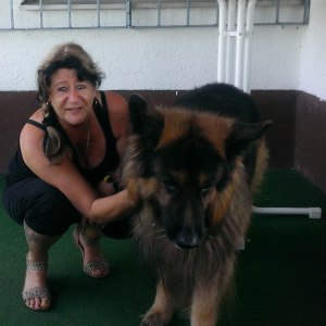 Profilbild von Andrea Kellermeier