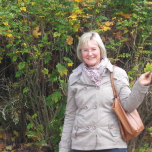 Profilbild von Andrea Wilke