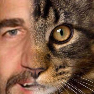 Profilbild von Andreas Be
