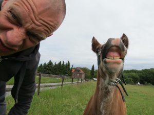 Profilbild von Andreas Bongard