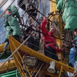 Profilbild von Andreas Brauer