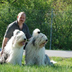 Profilbild von Andreas Frittmann