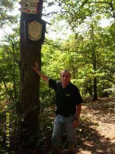 Profilbild von Andreas Herold