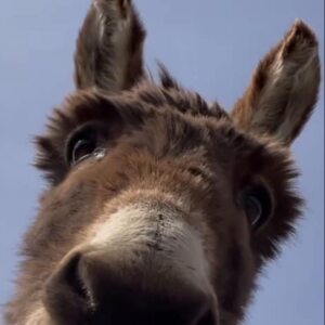 Profilbild von Andreas Kleefisch