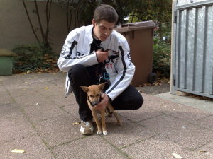 Profilbild von Andreas Koch