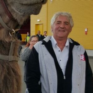 Profilbild von Andreas Koch