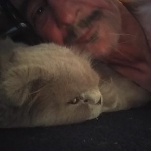 Profilbild von Andreas Köhler