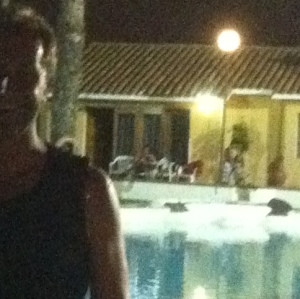 Profilbild von Andreas Kraucik