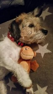 Profilbild von Andreas Lenz