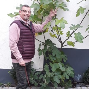 Profilbild von Andreas Lund