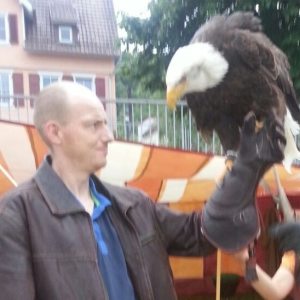 Profilbild von Andreas Mauch