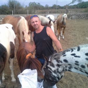 Profilbild von Andreas Schulte