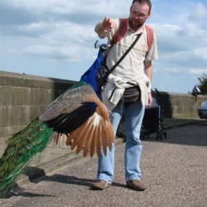 Profilbild von Andreas Spiegelberg