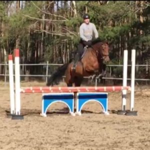 Profilbild von Andreas Wieden