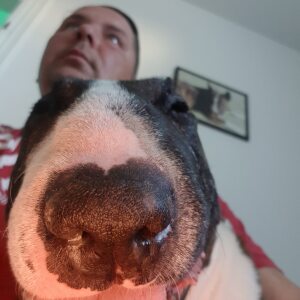 Profilbild von Andreas Wullinger