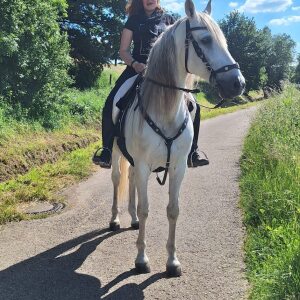 Profilbild von Angela Mummhardt
