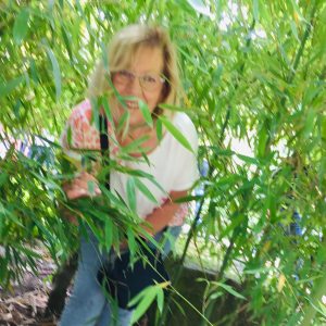 Profilbild von Angelika Brauner