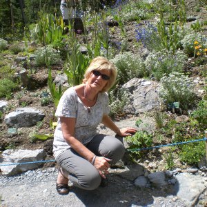 Profilbild von Angelika Dobrowolski