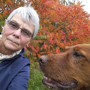 Profilbild von Angelika Knäbel