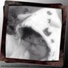 Profilbild von Anh Kute