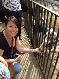 Profilbild von Anh Nguyen