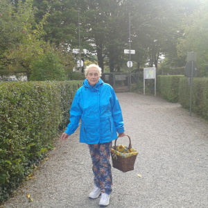 Profilbild von Anita Liebl