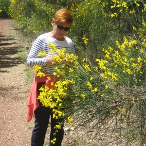 Profilbild von Anita Stassen-Guter