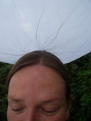 Profilbild von Anja Barkmann