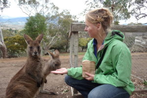 Profilbild von Anja Hillmann
