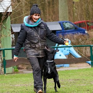 Profilbild von Anja Honermeier