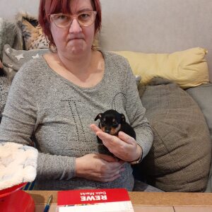 Profilbild von Anke Boenig