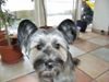 Profilbild von Anke Lummert